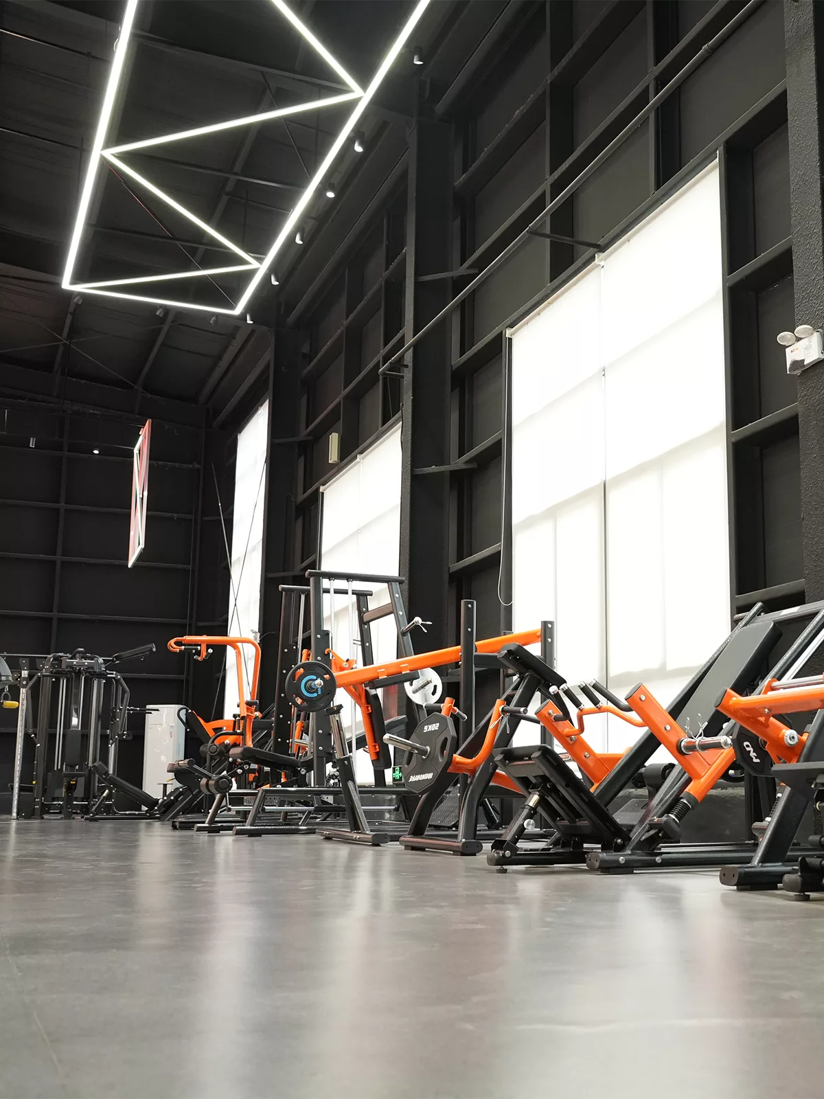 Strength Equipment Strength Equipment
